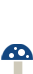 mushroom-small-2